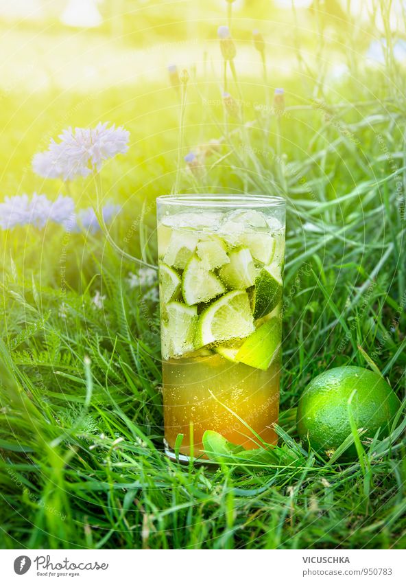 Iced tea with lime in the garden flowers Food Fruit Beverage Cold drink Lemonade Tea Alcoholic drinks Sparkling wine Prosecco Longdrink Cocktail Glass Lifestyle