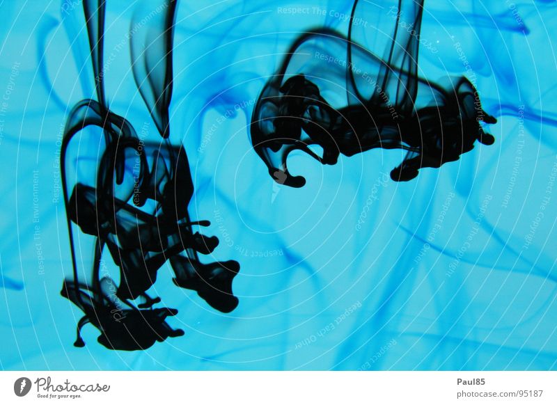 Blackness of depth Ink Aquarium Ocean Animal Eerie Navigation Blue Drops of water Deep Water Exceptional