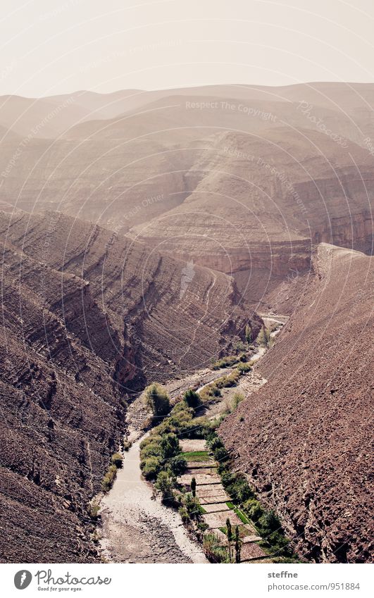 Everything flows: Dades Landscape Canyon Exceptional Morocco dades Deep Summer Adventure Colour photo Exterior shot