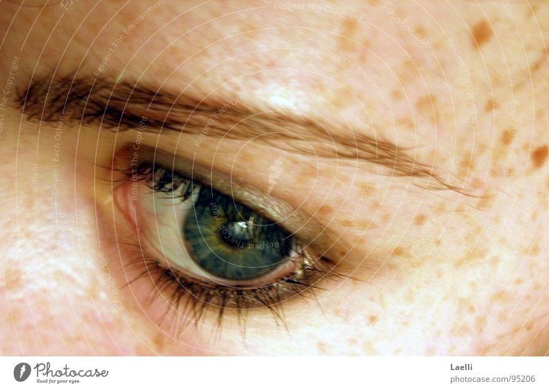 Sometimes it's hard to believe you remember me... Pupil Green Eyelash Freckles Eyebrow Longing Macro (Extreme close-up) Close-up Eyes Blue Iris Face Looking