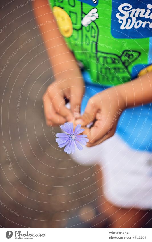 Smile! Child Boy (child) Hand Fingers 1 Human being 3 - 8 years Infancy T-shirt Happy Might Safety (feeling of) Warm-heartedness Love Fragrance Relaxation