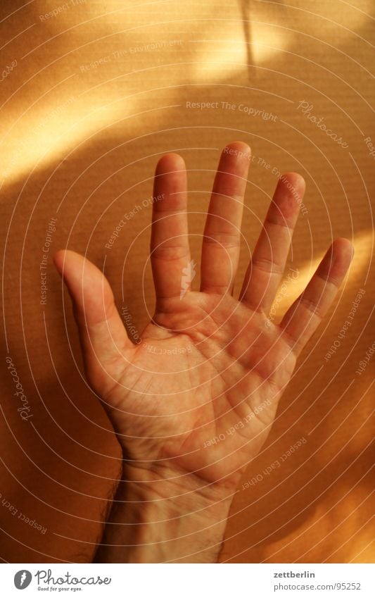 Five fingers stock photo. Image of communication, individuality