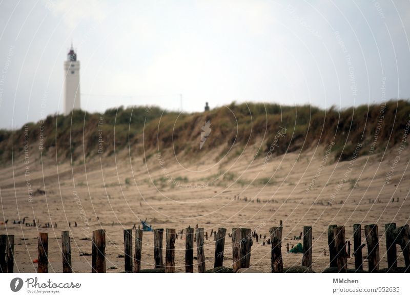 Obstacle course Leisure and hobbies Vacation & Travel Tourism Trip Beach Ocean Nature Sand Sky Autumn Grass Hill Coast North Sea Discover Relaxation To enjoy