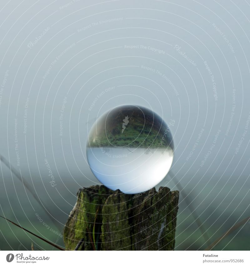 visions Environment Nature Landscape Plant Sky Autumn Fog Grass Meadow Field Far-off places Glittering Cold Near Natural Round Gray Green Glass ball