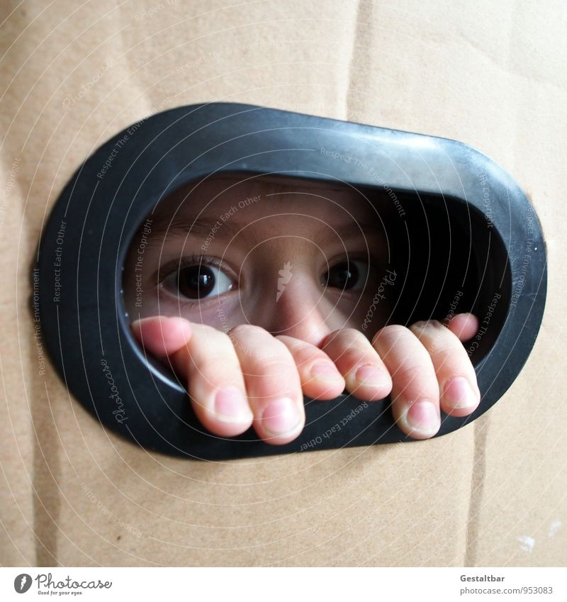 Boy looking out of box. Masculine Child Boy (child) Face Eyes Nose Hand Fingers 1 Human being 3 - 8 years Infancy Box Observe Discover Wait Authentic Cute Brown