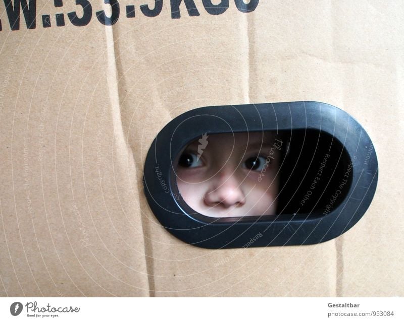 Boy peeking out of box Masculine Child Boy (child) Skin Head Face Eyes Nose Eyebrow 1 Human being 3 - 8 years Infancy Package Packaging Characters Observe