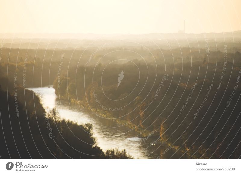 Isar lights Landscape Air Water Sunrise Sunset Sunlight Forest River Rich pasture forest floodplain Illuminate Brown Gold White Flow Calm Light brown Smooth