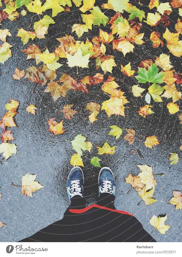 Tuesdays: Rain Healthy Leisure and hobbies Freedom Hiking Sportsperson Jogging Human being Abdomen 1 Nature Autumn Weather Bad weather Leaf Maple tree