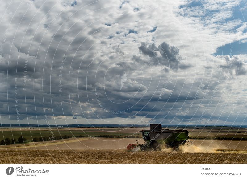 He that soweth the wind shall reap the storm. Summer Environment Landscape Sky Clouds Storm clouds Sunlight Weather Wind Agricultural crop Field Driving Dark