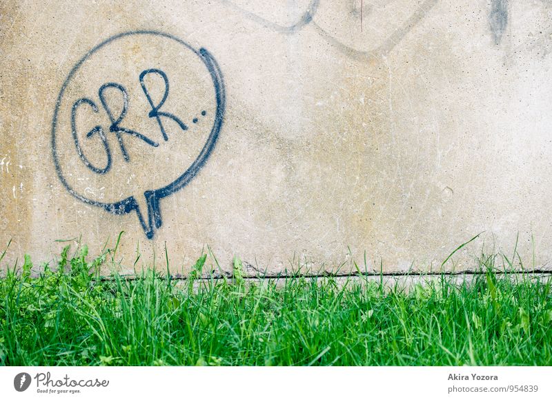 Grr. Grass Meadow Wall (barrier) Wall (building) Characters Threat Fresh Town Gray Green Black Dangerous Grouchy Animosity Aggression Colour photo Exterior shot