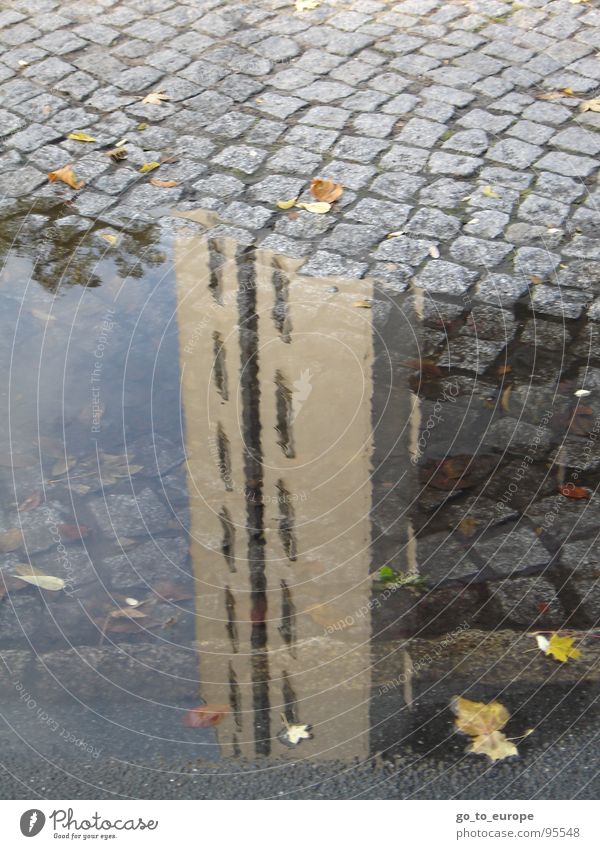 Skyscraping. Grounded. High-rise Reflection Puddle Cobblestones Gray Water