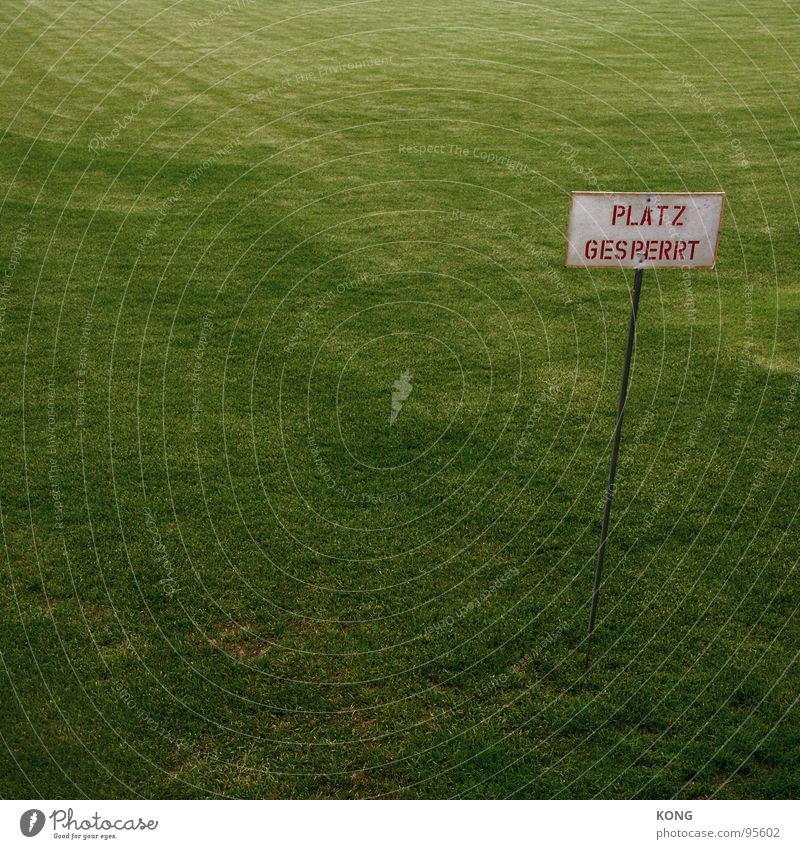 place closed Grass Sporting grounds Green Green space Cottbus Meadow Playing field Depth of field Sports Ball sports Lawn club training ground soccer top league