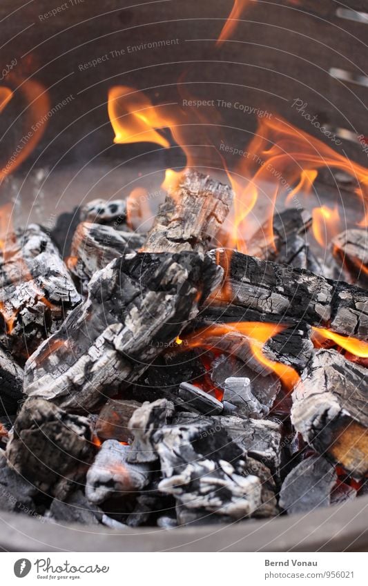 fire Nutrition Yellow Orange Black White Barbecue (event) Charcoal (cooking) BBQ season Fire Flame Hot Warmth Burn Embers Steel Holiday season Preparation Heat