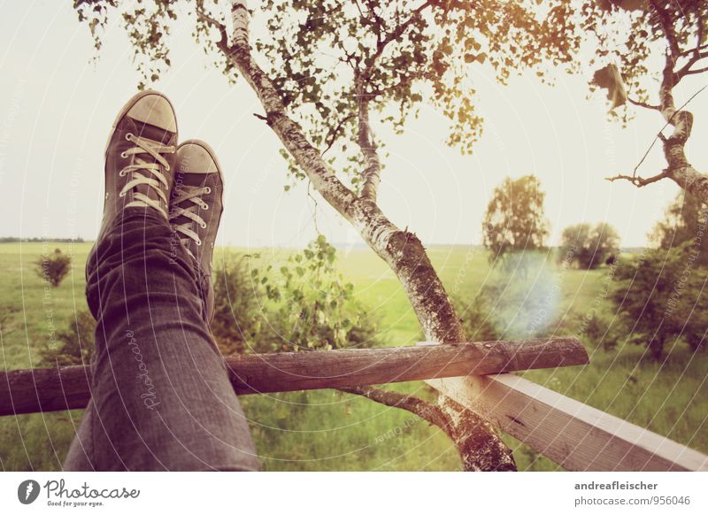 pure relaxation Contentment Relaxation Calm Nature Landscape Sun Summer Tree Bushes Meadow Field Life Joie de vivre (Vitality) Ease Birch tree Chucks Jeans