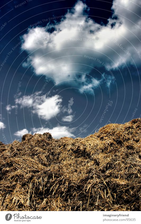 silver Clouds Countries Manure heap Agriculture Field Sky Landscape country Americas