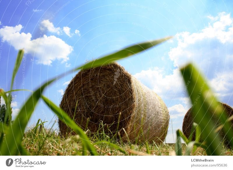 Hay Vs. Tractor Hay bale Summer Straw Bale of straw Grass Field Yellow Agriculture Clouds Exterior shot Village Meadow Calm Nature Sky Field recording Blue