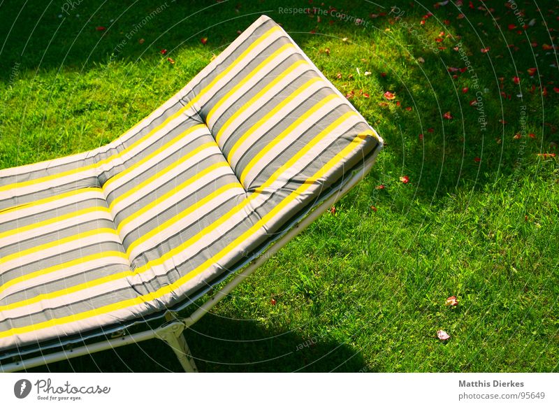 LYING STRIPES Couch Relaxation Yellow Striped Checkered Hypnotic Meadow Physics Hot Summer Perspiration Perspire Sleep Doze Rest Reading Dream Sunbathing Brown