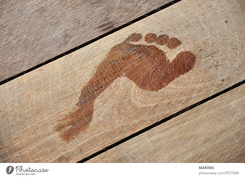 wet Footprint on wooden floor Relaxation Vacation & Travel Human being Nature Wood Wet Brown abstract Feet foot timber Wooden floor wooden planks holiday