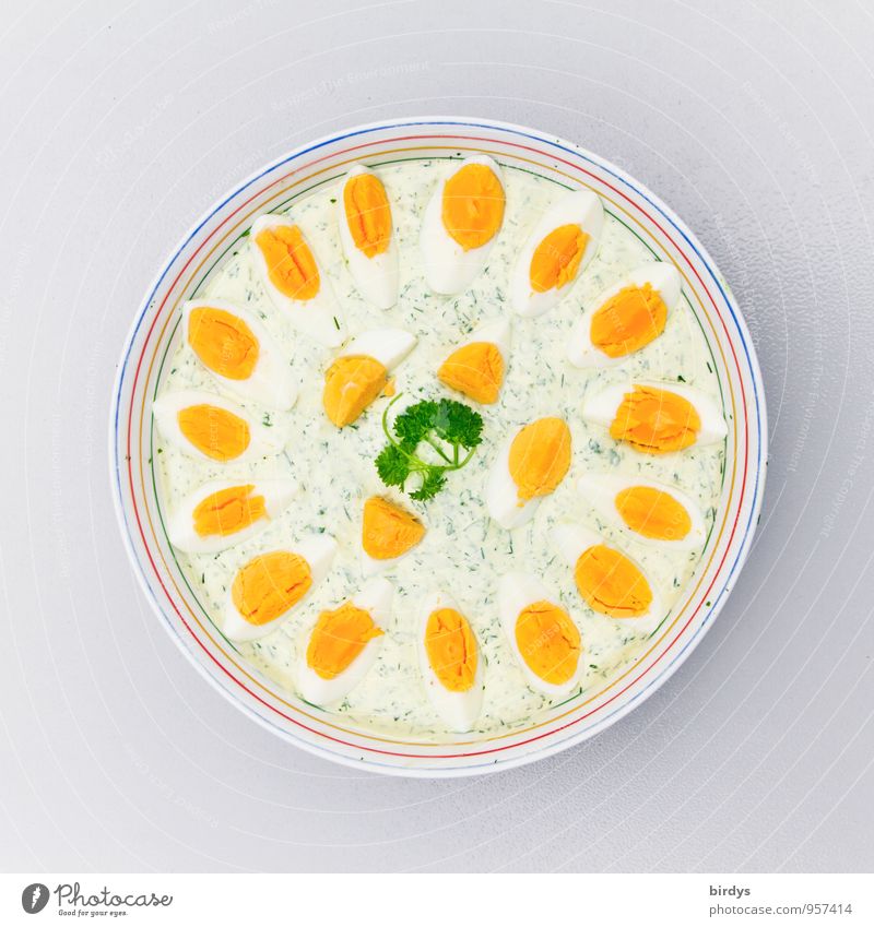 Herb quark with egg Dairy Products Quark Egg dishes Yolk Parsley Nutrition Lunch Organic produce Bowl Fragrance Illuminate Esthetic Fresh Healthy Delicious