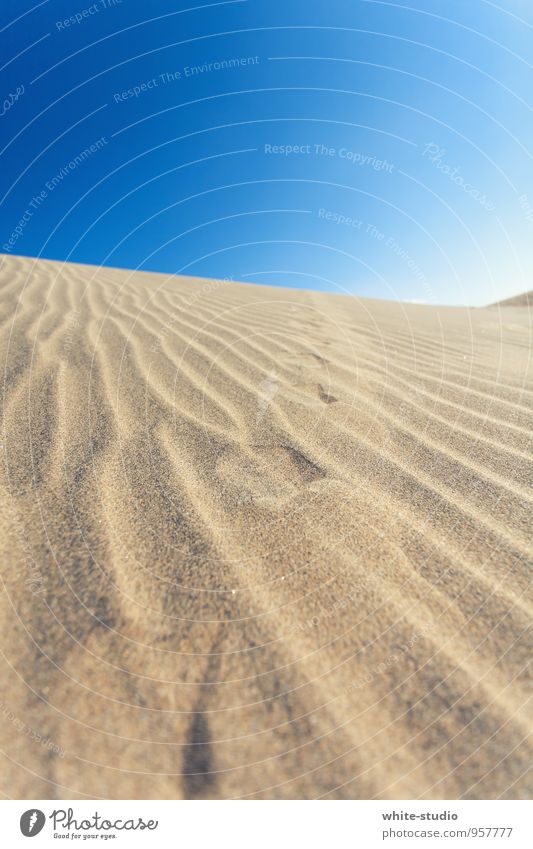 windswept Sand Hot Footprint Beach dune Desert Sanddrift Tracks Tracking Furrow Sandy beach Drought Dry Summer vacation Warm-heartedness Vacation & Travel