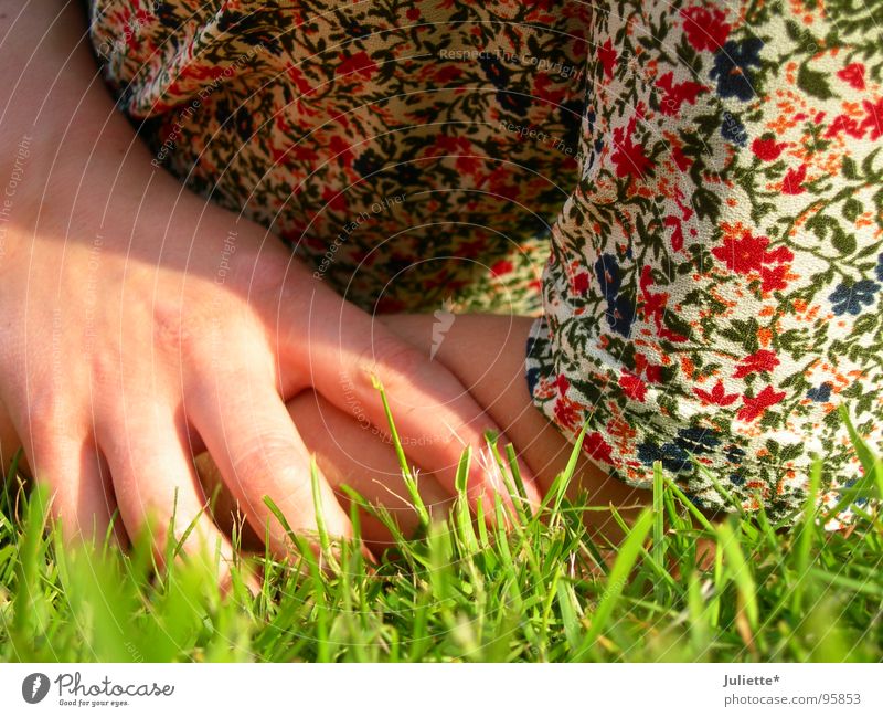 In the grass Meadow Multicoloured Hand Relaxation Flower Colour bright colors Contentment