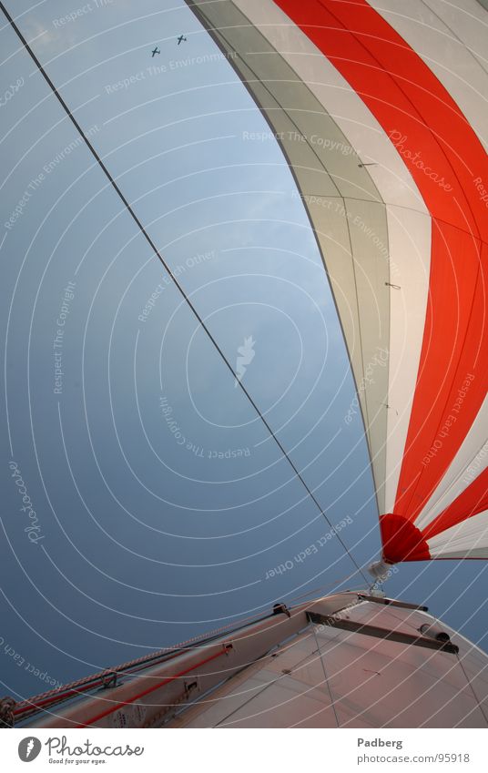 Sail and Fly Sailing Aquatics Air Airplane Adventure sailing on the ijsselmeer gennaker coloured sails high speed good feeling Wind strokes the nose Freedom Sky
