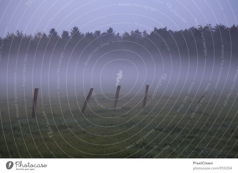 fog Calm Vacation & Travel Hiking Agriculture Forestry Nature Earth Fog Field Village Blue Gray Green Loneliness Moody Colour photo Subdued colour Twilight