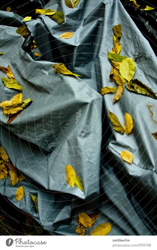 bicycle wrapping Autumn Leaf Autumn leaves Breakdown Leafless Covers (Construction) Covered Blanket Cover up Protection Winter festival Winter mood Winter break
