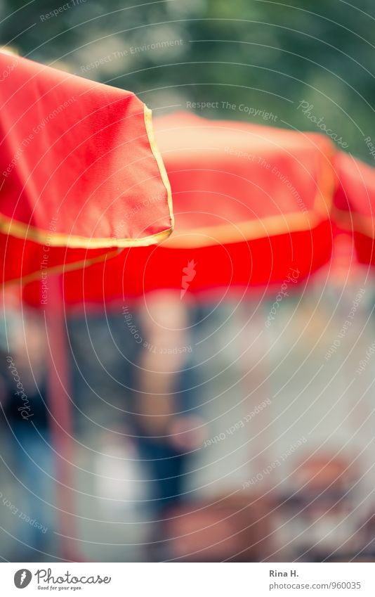 strolling Man Adults 2 Human being Going Sunshade Café To go for a walk Colour photo Blur Shallow depth of field