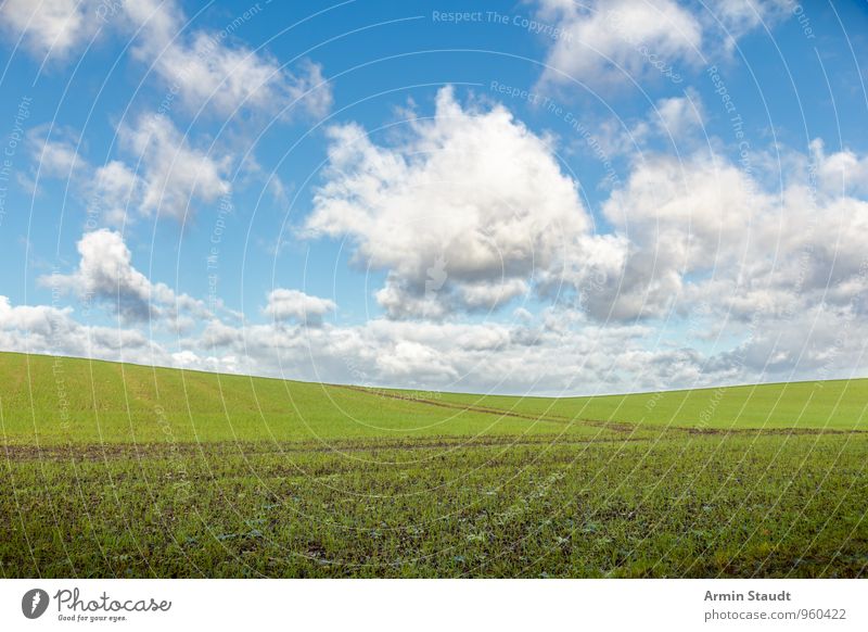 Plain field Environment Nature Landscape Sky Clouds Spring Beautiful weather Agricultural crop Field Hill Growth Authentic Far-off places Infinity Natural