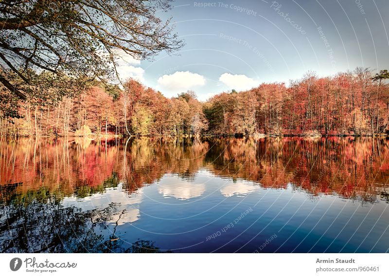 Autumn forest - lake - Glatt Relaxation Calm Leisure and hobbies Vacation & Travel Nature Landscape Water Sky Beautiful weather Forest Lakeside Illuminate