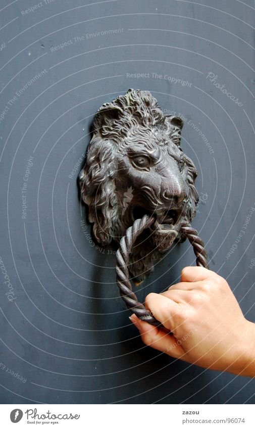 visiting Door Door handle Knocker Visitor Hand Lion Entrance Mysterious Obscure Bell Lion's head Detail Action Loud Noise Decoration Register Knock at the door