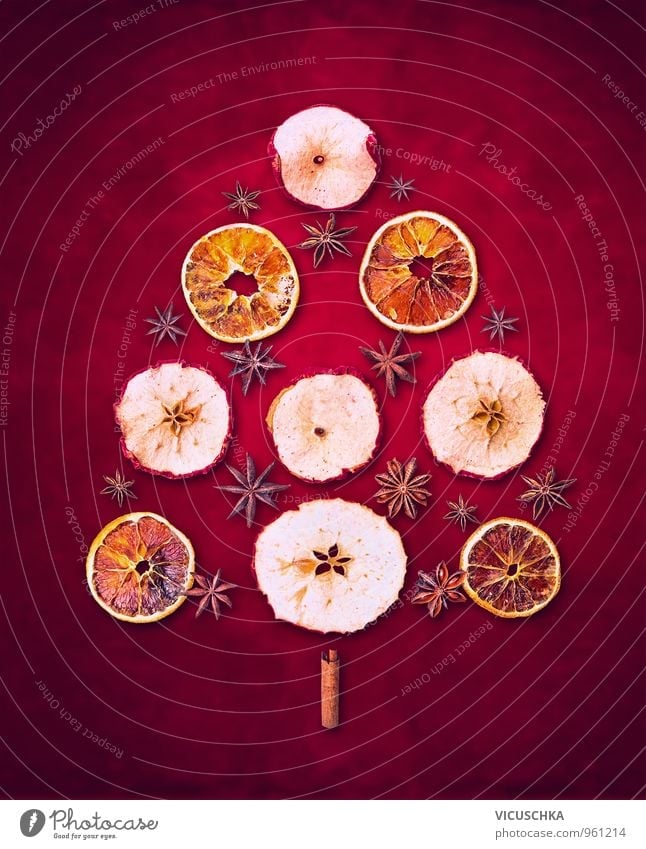 Christmas Tree Dry Winter Fruits Food Design Leisure and hobbies Christmas & Advent Nature Tradition Christmas tree Herbs and spices Background picture Red