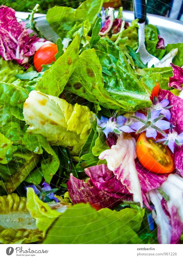 salad Harvest Garden Vegetable Fruit Plant Tomato Lettuce Salad Borage Lamb's lettuce Salad servers Healthy Eating Dish Food photograph Nutrition