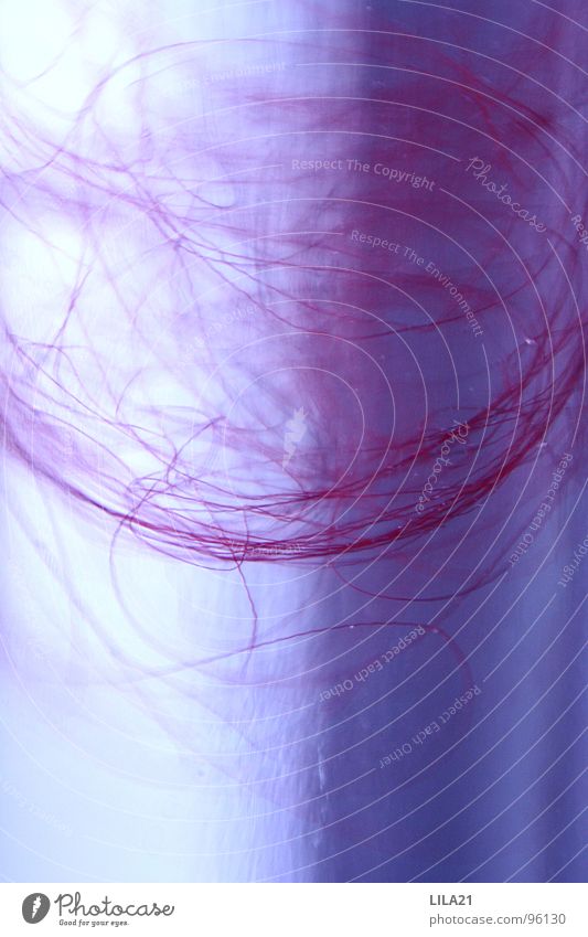 lilac wine Violet Pink Light blue White Black Thread Vase Fine Playing Background picture Relaxation Enchanting Depth of field Dark Red Macro (Extreme close-up)