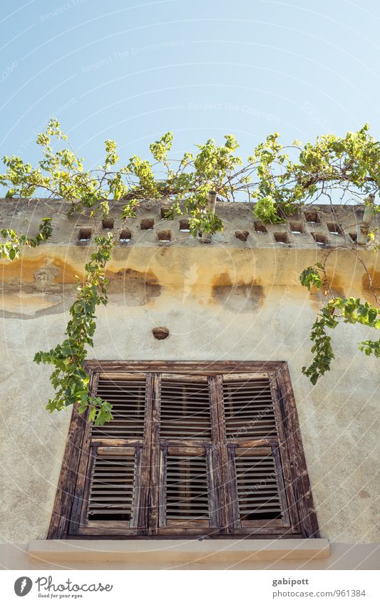 roof garden Well-being Contentment Relaxation Calm Meditation Vacation & Travel Tourism Trip Adventure Far-off places Cloudless sky Village