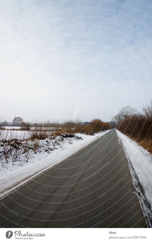 buckling landscape Winter Snow Agriculture Forestry Environment Nature Landscape Sky Clouds Ice Frost Tree Bushes Field Transport Traffic infrastructure