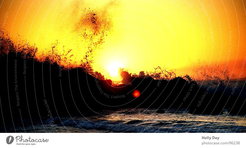 Waves and sunset Ocean Surf Sunset Beach Black Longing Vacation & Travel Los Angeles Summer Coast Water Evening Orange Rock venice beach