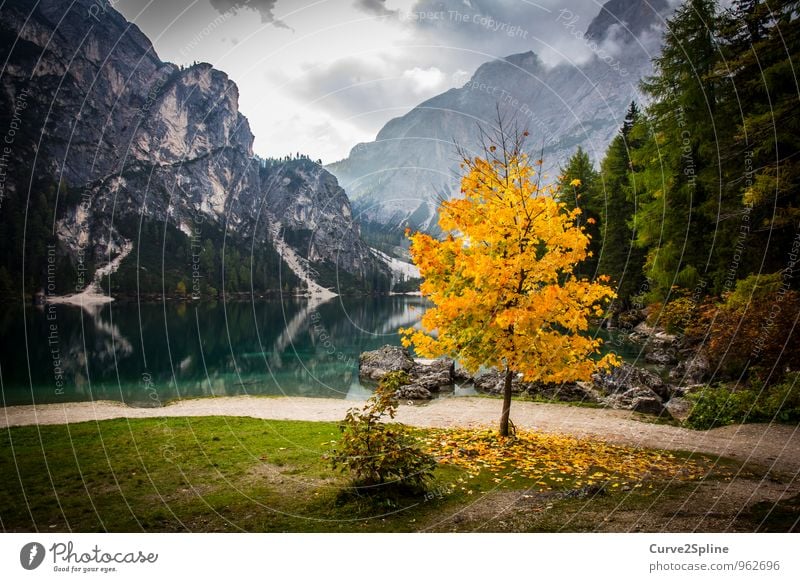 uniqueness Nature Elements Authentic Autumnal Autumn leaves Autumnal colours Lake Lakeside Mountain lake reflection Clouds Yellow Tree Pragser Wildsee Lake