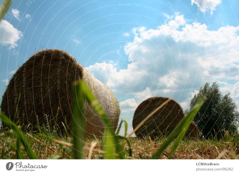 Hay vs. Tractor II Hay bale Summer Straw Bale of straw Grass Field Yellow Agriculture Clouds Exterior shot Village Meadow Calm Nature Sky Field recording Blue