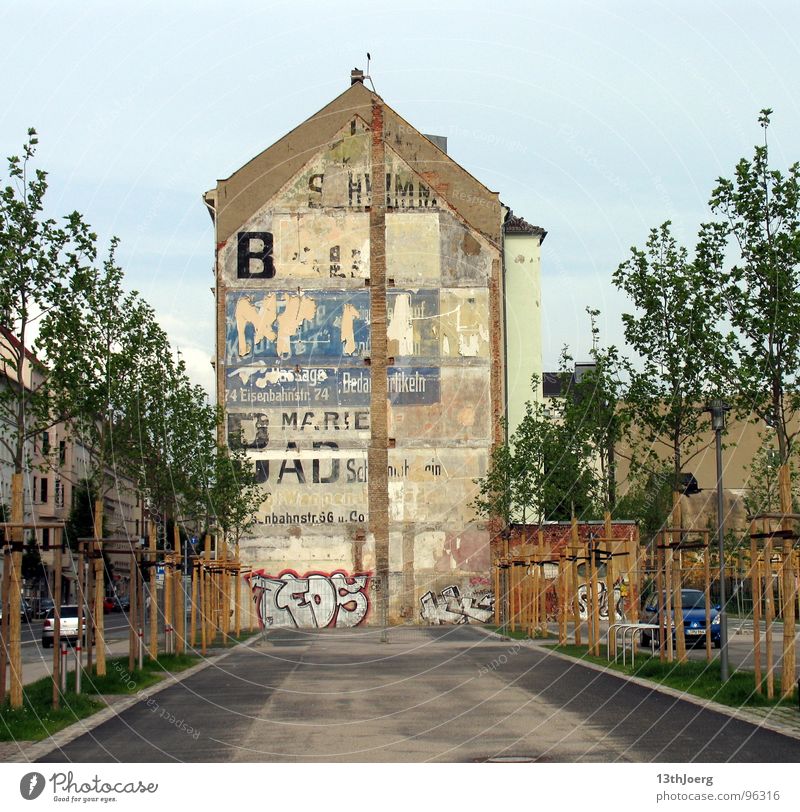 wall design House (Residential Structure) Advertising Industry Avenue Tree Town Leipzig East Wall (building) Demography Dismantling Derelict Germany Street