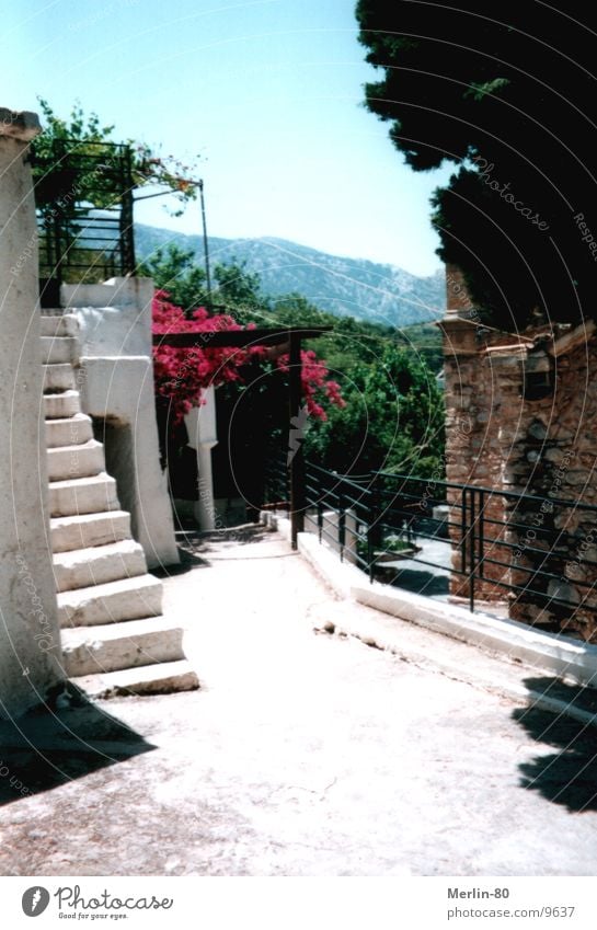 Old monastery on Crete Flower Green Europe Monastery white staircase Sun Beautiful weather