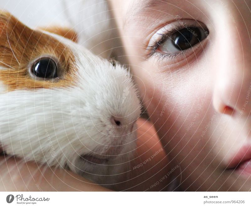 friends Feminine Girl Infancy Life Face Eyes 1 Human being 3 - 8 years Child Animal Pet Animal face Guinea pig Esthetic Uniqueness Cuddly Small Cute Positive