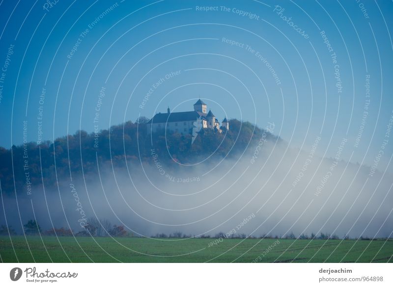 Above the clouds stands the Greifenstein Castle. In the foreground is a meadow. Style Calm Leisure and hobbies Trip Environment Landscape Autumn