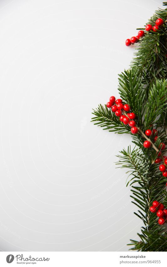 Christmas holly Stock Photos, Royalty Free Christmas holly Images