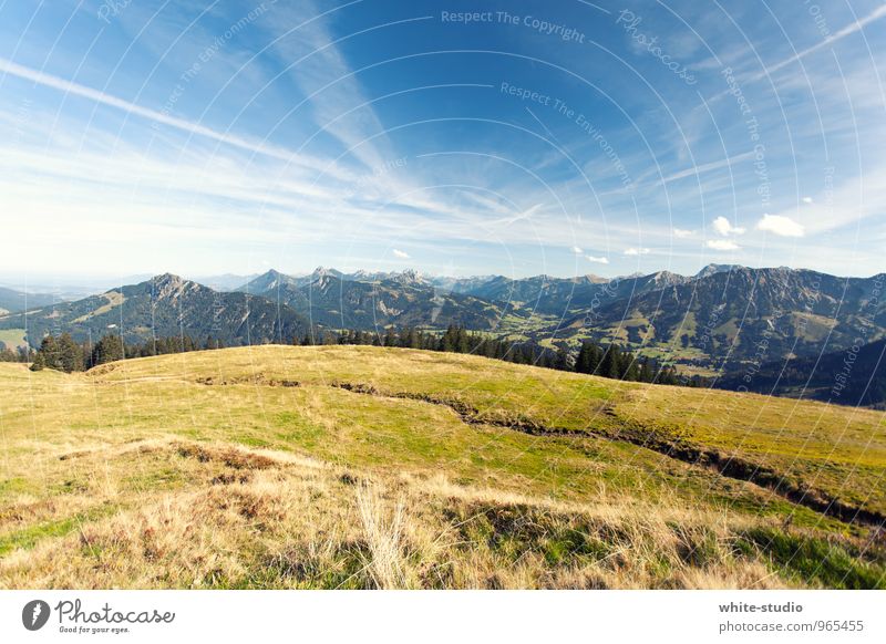 Let's go to the mountains! Environment Nature Landscape Plant Sky Cloudless sky Spring Summer Weather Beautiful weather Meadow Forest Alps Mountain Hiking