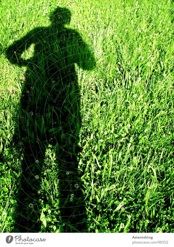 The shadow man 1 Summer Sun Human being Masculine Man Adults Hand Legs Environment Nature Landscape Plant Weather Beautiful weather Warmth Grass Meadow Stand