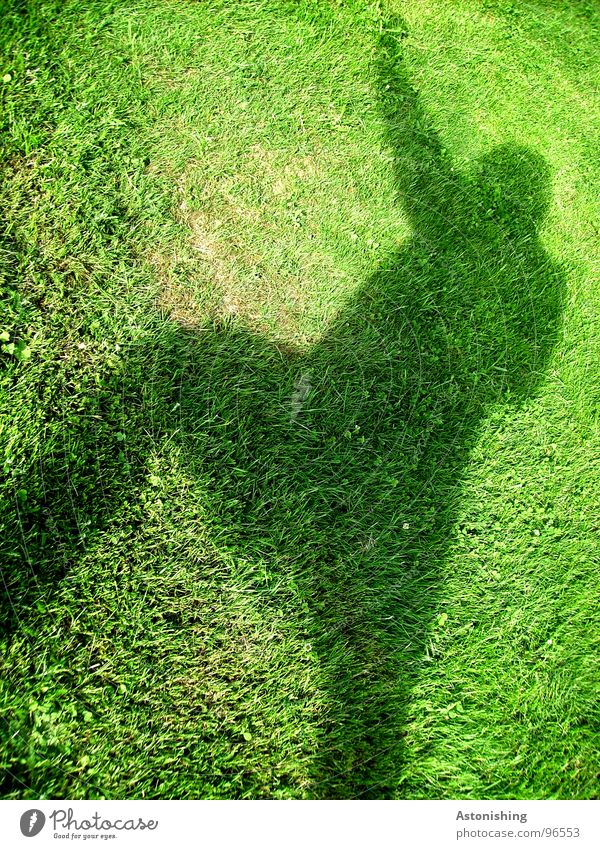 The Shadow Man 2 Summer Human being Masculine Adults Arm Hand Legs 1 Environment Plant Weather Beautiful weather Grass Foliage plant Meadow Movement Tall Green