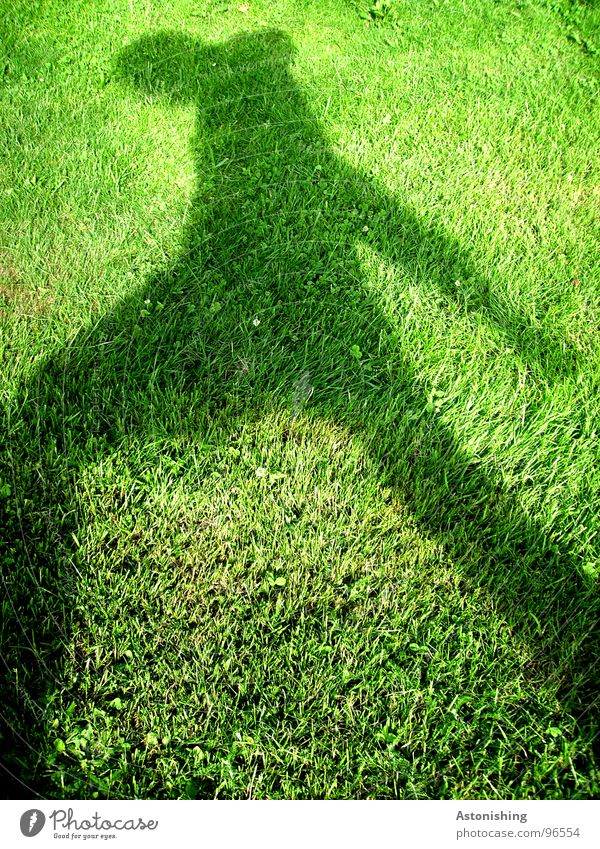 The Shadow Man 3 Summer Human being Masculine Adults Arm Legs 1 Environment Weather Beautiful weather Plant Grass Foliage plant Meadow Movement Green Black Lawn