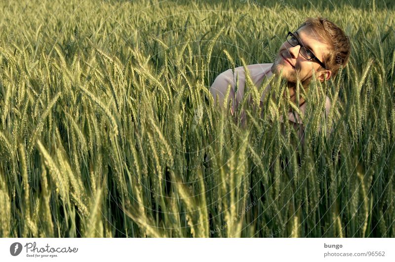 Marc searches the grain field Ear of corn Wheat Rye Wheatfield Field Agriculture Man Middle Touch Eyeglasses Well-being Search Duck down Grain Human being